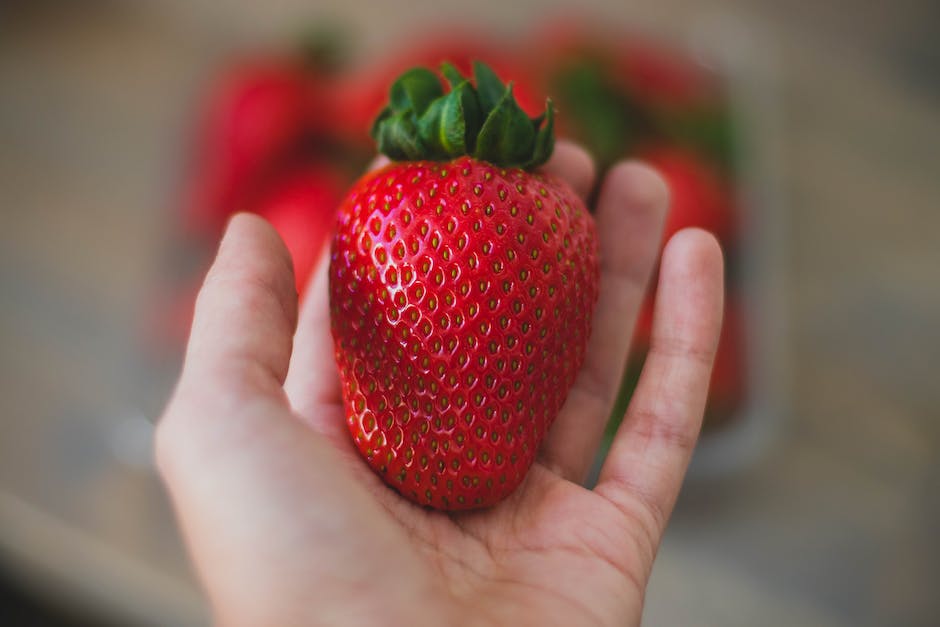Länge des Aufbewahrens von Erdbeeren im Kühlschrank