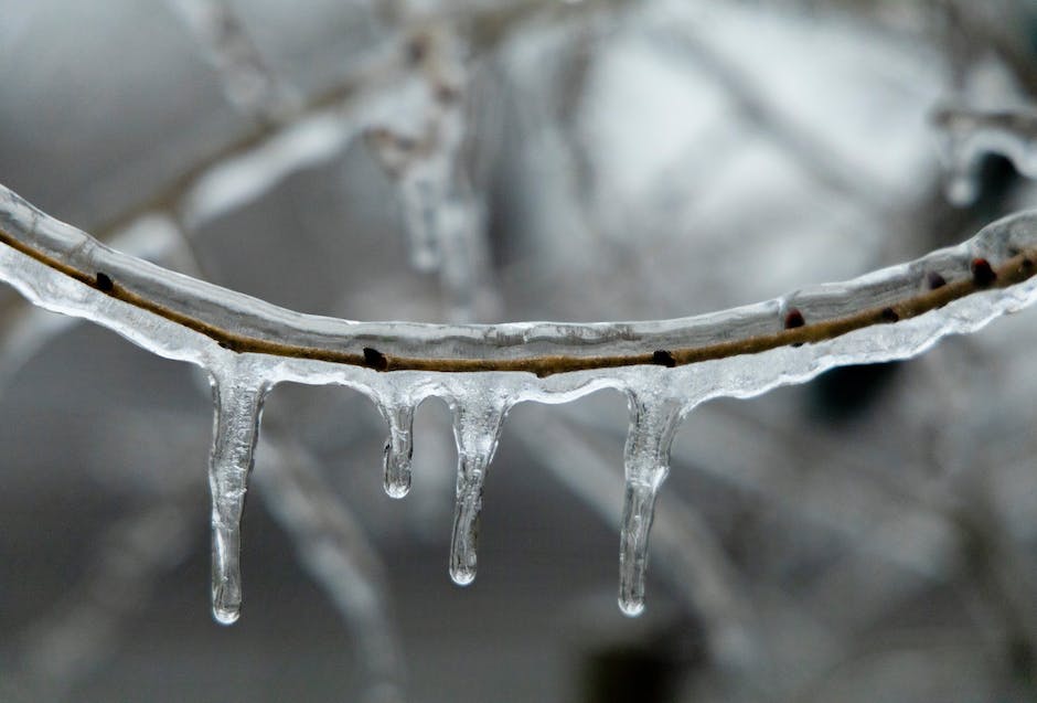 Igelschlafdauer im Winter