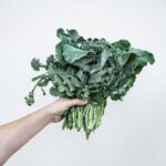 Gekochter Brokkoli im Kühlschrank aufbewahren
