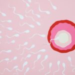 Lebensdauer von Sperma im Körper