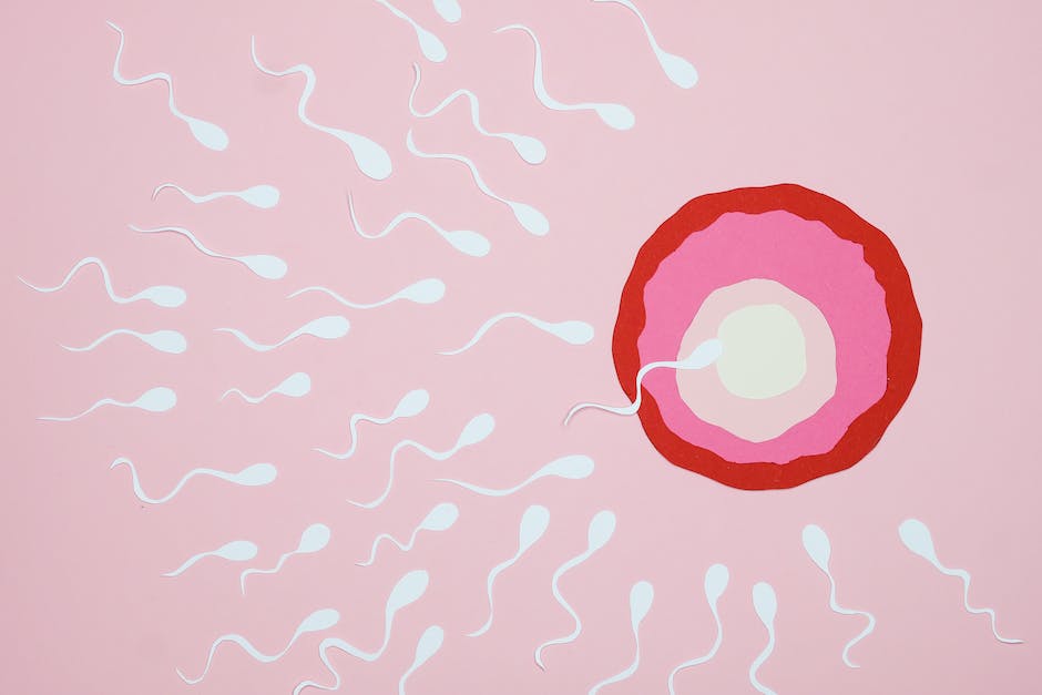 Wie Lange Hält Sich Sperma Im Körper Erfahre Die Antwort In Unserem Blog Artikel 