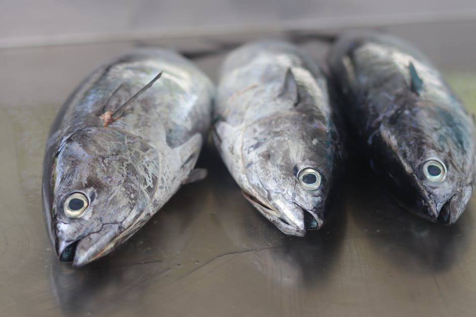  Thunfisch Haltbarkeit im Kühlschrank