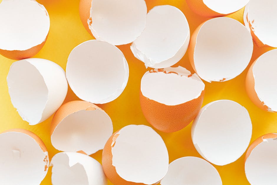 Langlebigkeit von Eiern im Kühlschrank