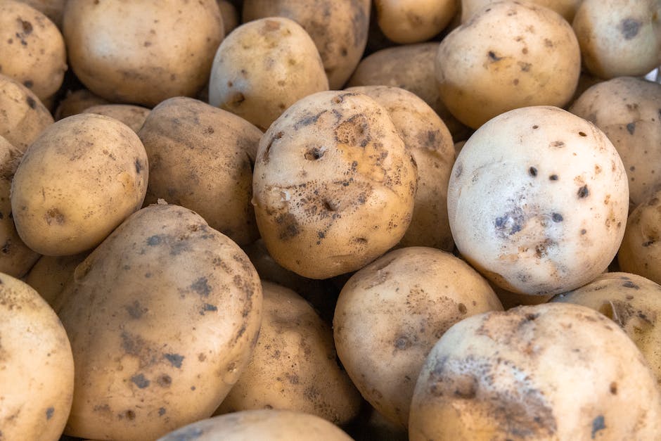 Länge des Aufbewahrens gekochter Kartoffeln im Kühlschrank