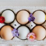 Langlebigkeit von hart gekochten Eiern