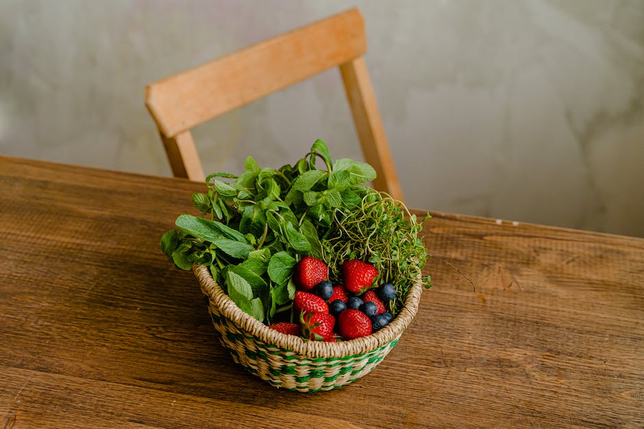 "Blaubeeren im Kühlschrank aufbewahren - Wie lange halten sie?"