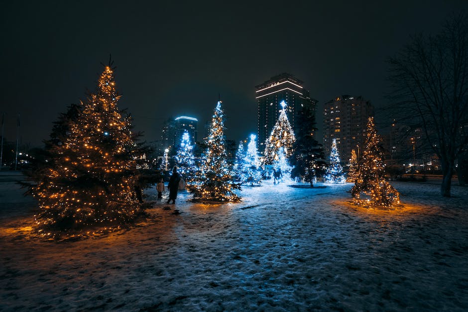 Weihnachtsbaum-Haltbarkeit-Dauer